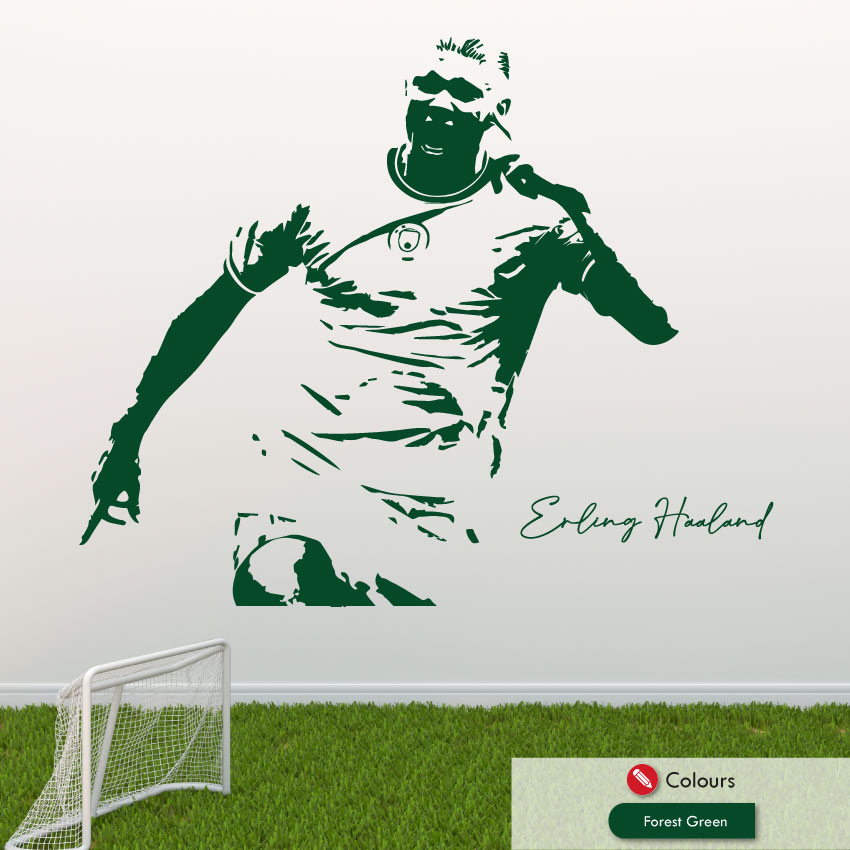 Erling Haaland Man City football wall art sticker with his celebration face point